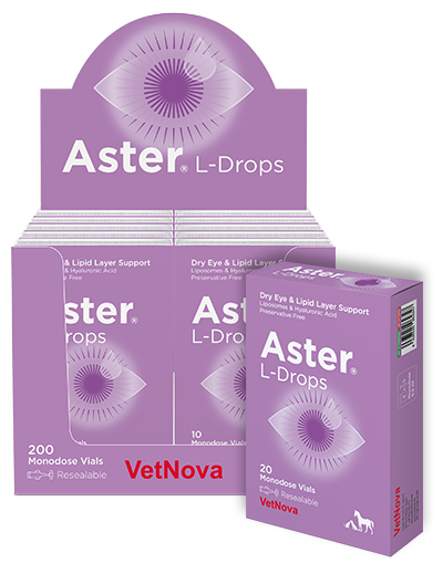 Aster L-Drops